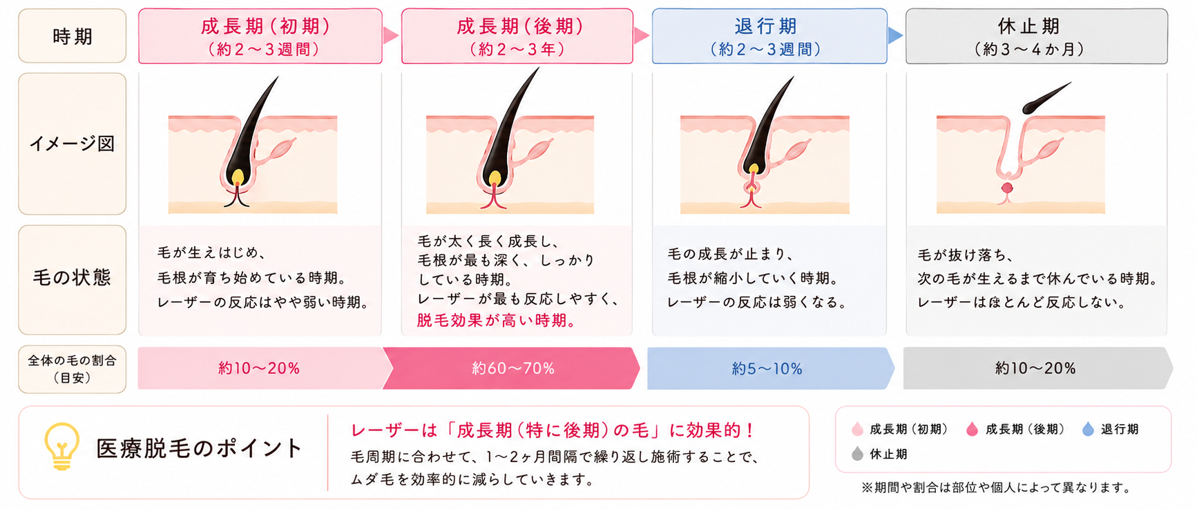 毛周期と医療脱毛の効果についての図