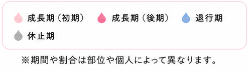 毛周期の凡例と注意事項